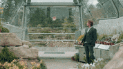 Box Breakfast GIF by BoxMedia