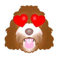 Valentines Day Sticker by zoopeez