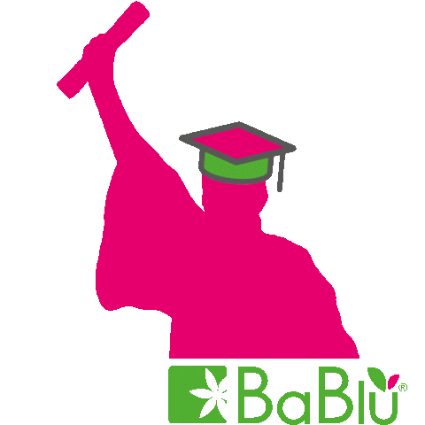 Weiterbildung Abschluss Sticker by BaBlü® Akademie