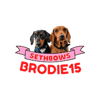 Dachshund Doxie Sticker by SethBows