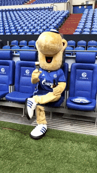 beer cheers GIF by FC Schalke 04