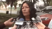 Chilenidad Las Calilas GIF by richardandmarc