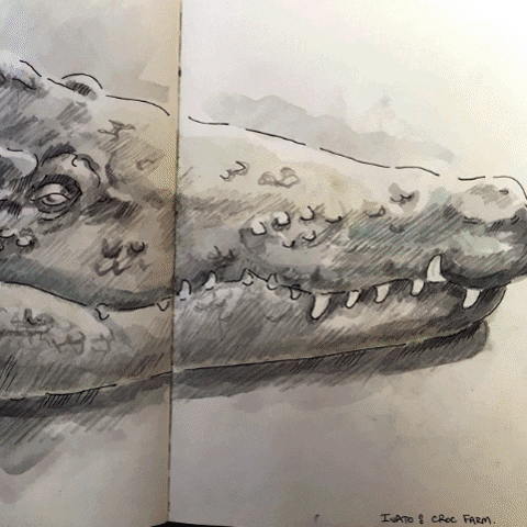 Art Drawing GIF by North Sydney Community Centre