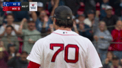 Celebrate Red Sox GIF by MLB