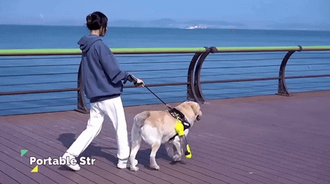 Hparker232 giphygifmaker GIF