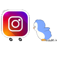 Social Media Instagram Sticker by Pudgy Penguins