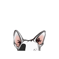 qualitytreats dog hemp bullterrier dogtreats Sticker