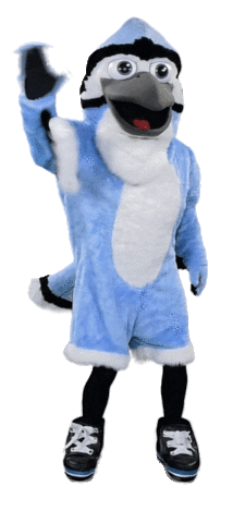 Blue Jay Hello Sticker by Johns Hopkins University