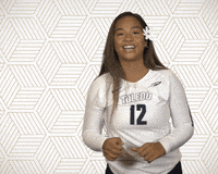 Ncaavb GIF by Toledo Rockets