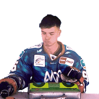 Eishockey Sticker by Adler Mannheim