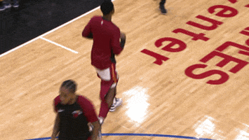 dwyane wade hug GIF by NBA