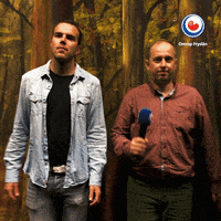 omrop_fryslan feest friesland fryslan springen GIF