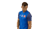Football Celebration Sticker by Slovensky futbalovy zvaz