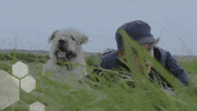 Best Friend Dog GIF by Studio 100