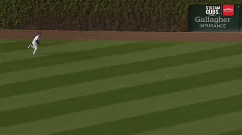 bclemens6 giphyupload GIF