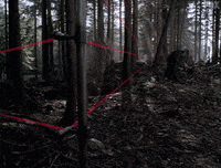 x files GIF by The X-Files