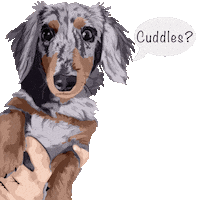 Dog Puppy Sticker