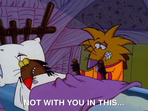nickrewind giphydvr nicksplat angry beavers giphyab014 GIF