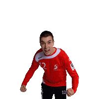 Handball Henke Sticker by SV Salamander Kornwestheim