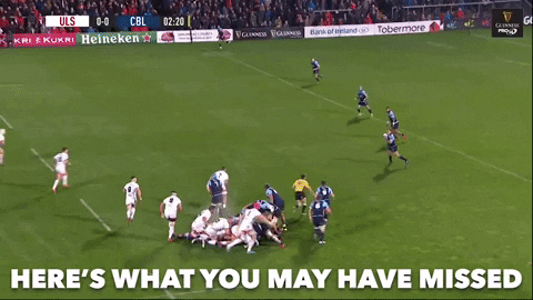 GIF by PRO14Official