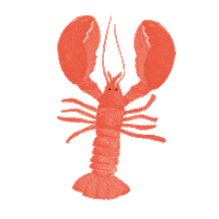 Lobster Sticker