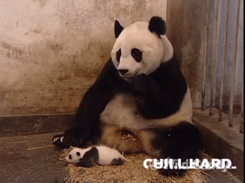 silent zen GIF