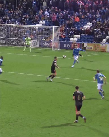 GIF by Salford City FC