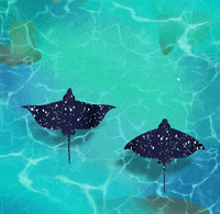 mackelangelo animation ocean sea eagle GIF