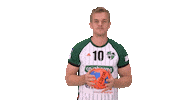 Handball-Bundesliga Fun Sticker by LIQUI MOLY HBL
