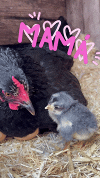 Family Love GIF