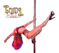 baroqintimcity pole dance night club strip club baroq Sticker