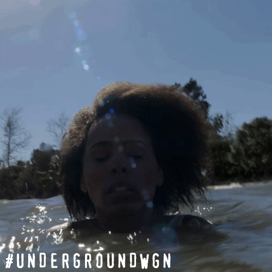 wgn america water GIF by Underground