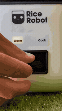 Click It As Seen On Tv GIF by Rice Robot