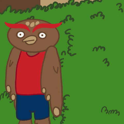 Owlsley Fau Mascot GIF by Florida Atlantic University