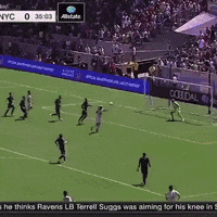 lavnyc GIF by LA Galaxy