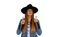 alliwalker up singer link hat Sticker