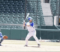 whack dodos dodosbaseball dustin burke dodos baseball GIF