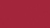 Charroslmb2025 GIF by Charros de Jalisco