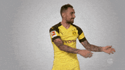 borussia dortmund football GIF by Bundesliga