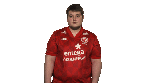 Happy 1 Fsv Mainz 05 Sticker by Bundesliga