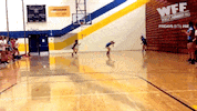 world's fails GIF by World’s Funniest