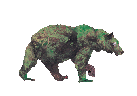 Bear Walk Sticker by Kaybid