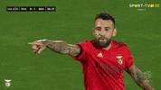 Sl Benfica Point GIF by Sport Lisboa e Benfica