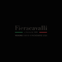Fieracavalli Horsefriendly GIF by veronafiere