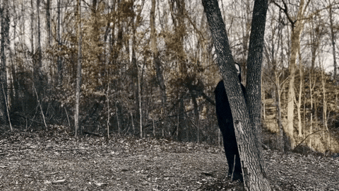 Im Dead Scary Movie GIF by The Frst