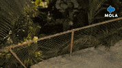Angry James Bond GIF by MolaTV