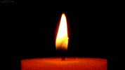never forget in remembrance GIF