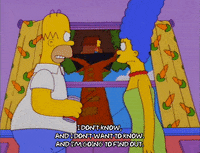 homer simpson episode 3 GIF