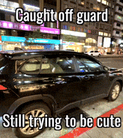 Trollingtrista GIF by doubleshots_studio