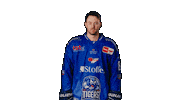 Leslie Sticker by Straubing Tigers